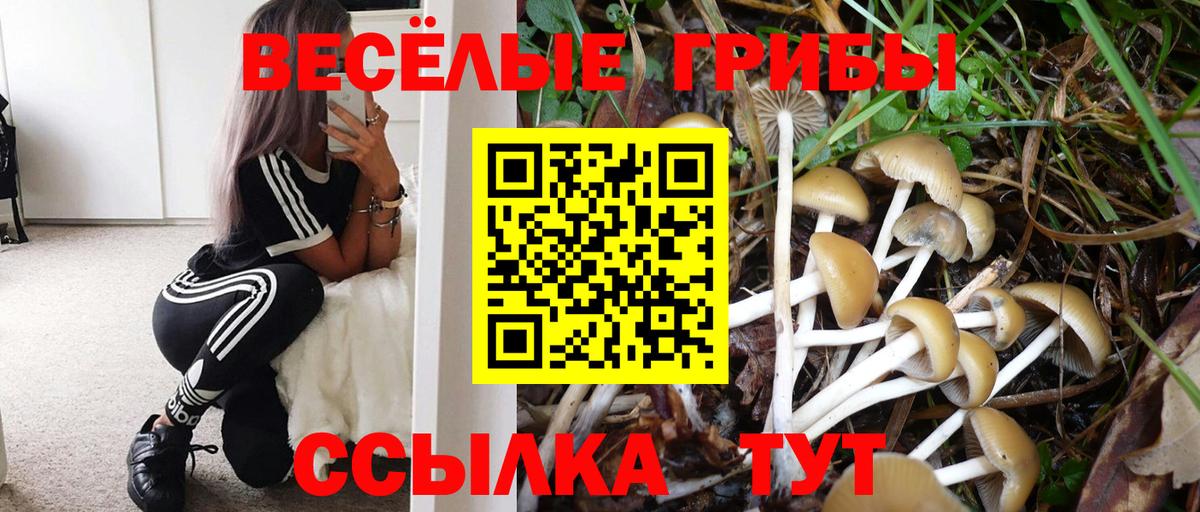 Псилоцибиновые грибы прущие грибы  даркнет сайт  Галлюциногенные грибы прущие грибы  Выкса 
