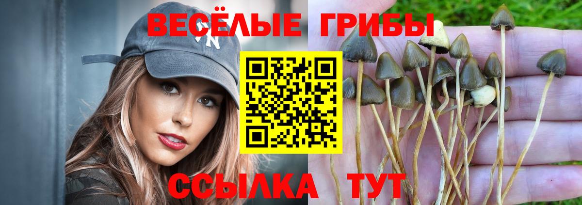 Выкса  Псилоцибиновые грибы Magic Shrooms  Вход с VPN 